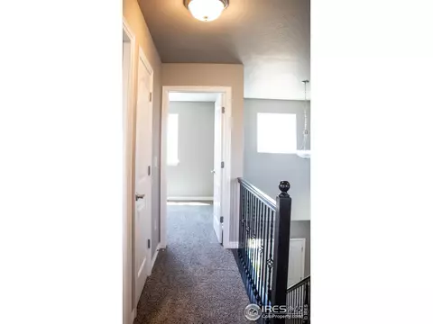 1804 Paley Dr, Windsor, CO 80550 photo 25
