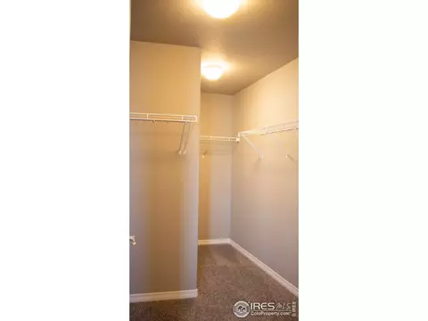 1804 Paley Dr, Windsor, CO 80550 photo 37