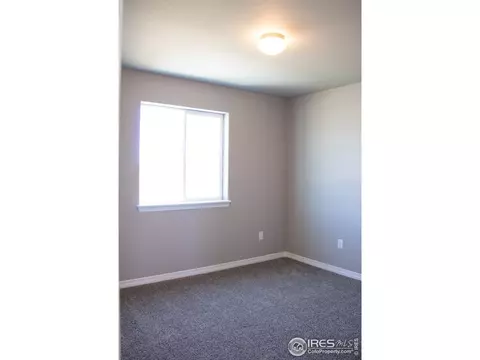 1804 Paley Dr, Windsor, CO 80550 photo 18