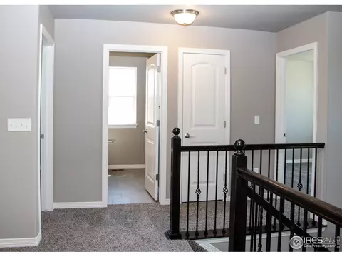1804 Paley Dr, Windsor, CO 80550 photo 16