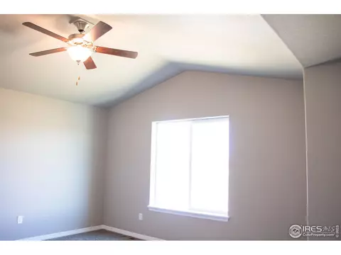 1804 Paley Dr, Windsor, CO 80550 photo 34