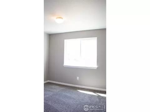 1804 Paley Dr, Windsor, CO 80550 photo 24