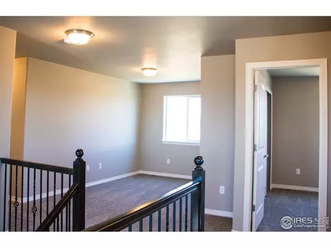 1804 Paley Dr, Windsor, CO 80550 photo 12