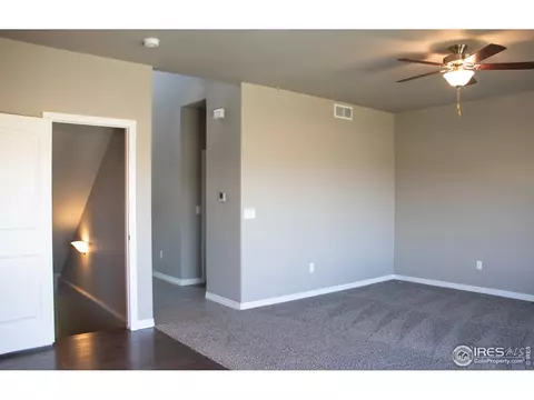 1804 Paley Dr, Windsor, CO 80550 photo 11
