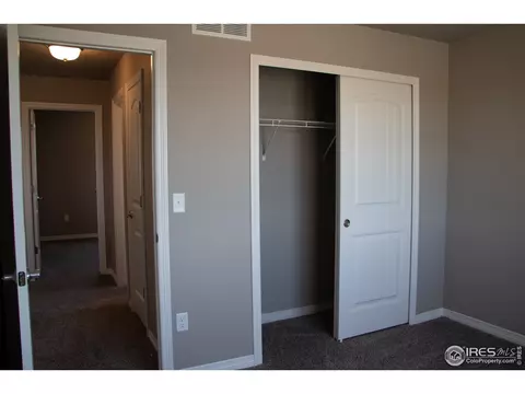 1804 Paley Dr, Windsor, CO 80550 photo 29