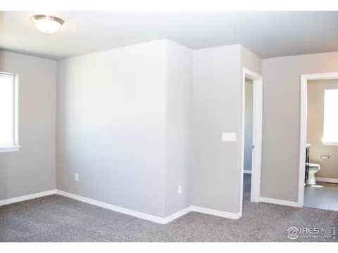 1804 Paley Dr, Windsor, CO 80550 photo 17