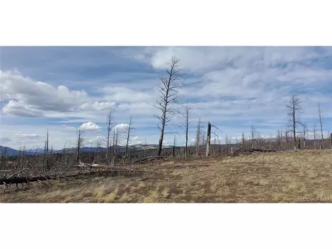 1227 Granville Loop, Fort Garland, CO 81133