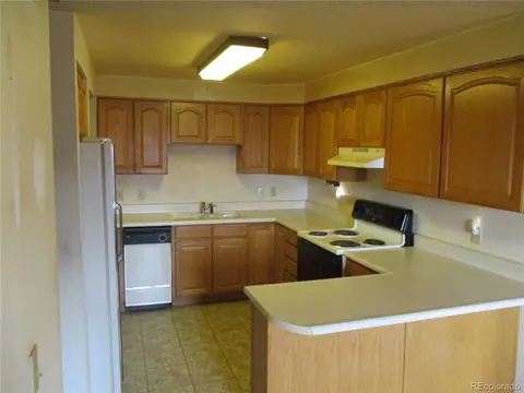 295 Lincoln Ave, Bennett, CO 80102 photo 7