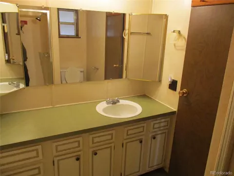 295 Lincoln Ave, Bennett, CO 80102 photo 12