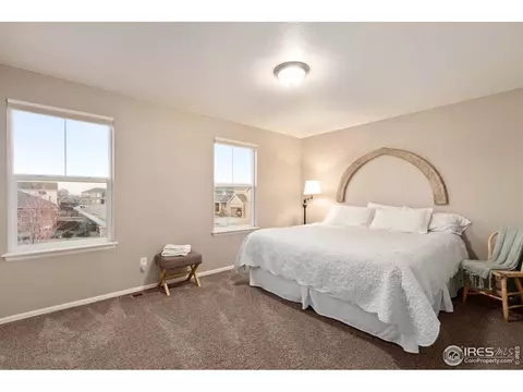 6155 Moran Rd, Timnath, CO 80547 photo 25