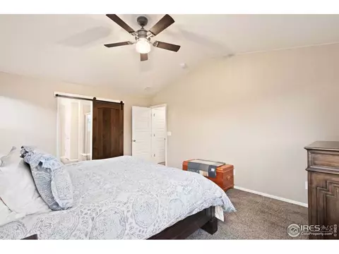 6155 Moran Rd, Timnath, CO 80547 photo 21
