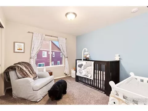 6155 Moran Rd, Timnath, CO 80547 photo 24