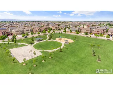 6155 Moran Rd, Timnath, CO 80547 photo 36