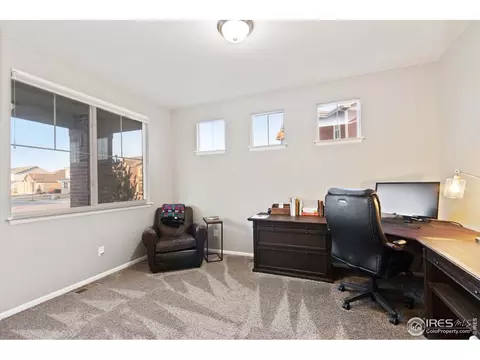 6155 Moran Rd, Timnath, CO 80547 photo 18