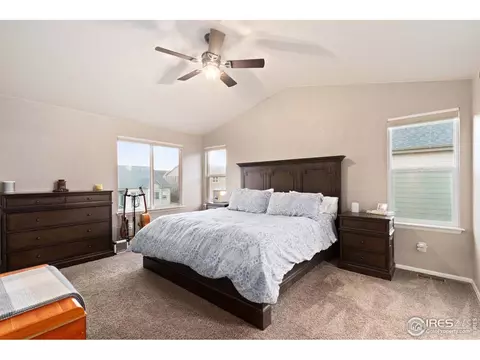 6155 Moran Rd, Timnath, CO 80547 photo 20