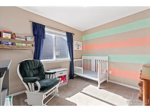407 Prairie Clover Way, Severance, CO 80550 photo 23