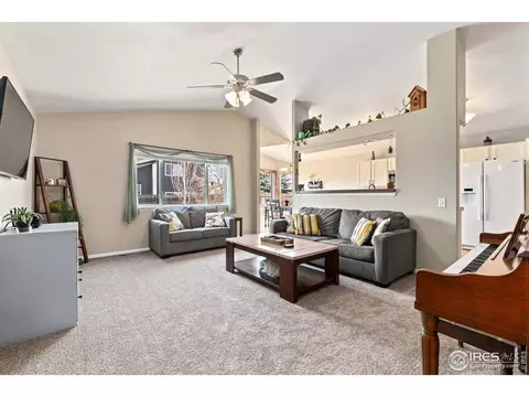 407 Prairie Clover Way, Severance, CO 80550 photo 8