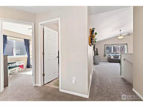 407 Prairie Clover Way, Severance, CO 80550 photo 17