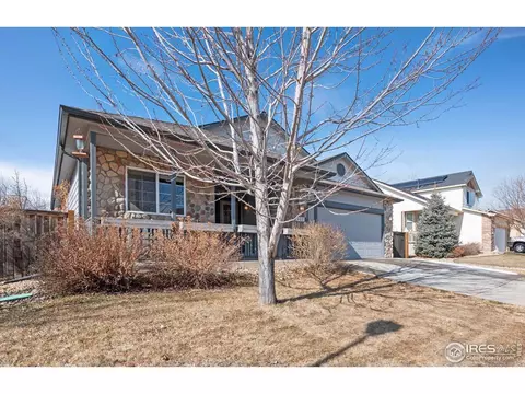 407 Prairie Clover Way, Severance, CO 80550 photo 3