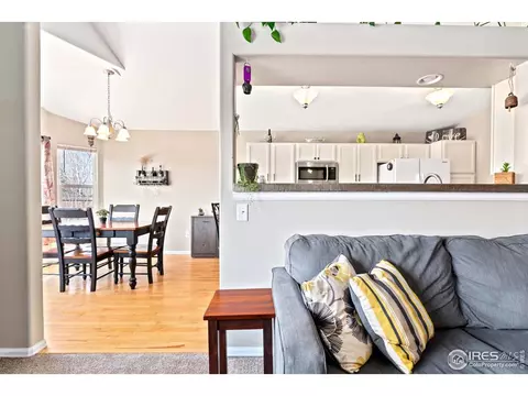 407 Prairie Clover Way, Severance, CO 80550 photo 9