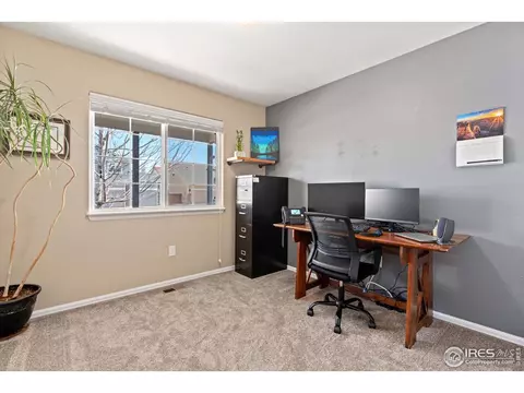 407 Prairie Clover Way, Severance, CO 80550 photo 22