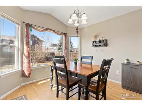 407 Prairie Clover Way, Severance, CO 80550 photo 16