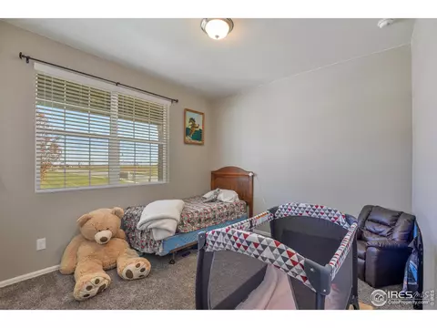 439 3rd St, Severance, CO 80550 photo 5