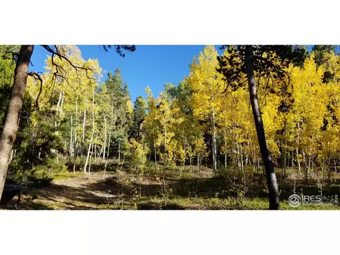 57 Randall Ridge Rd, Black Hawk, CO 80422 photo 31