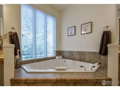 1404 Willow Way, Windsor, CO 80550 photo 17