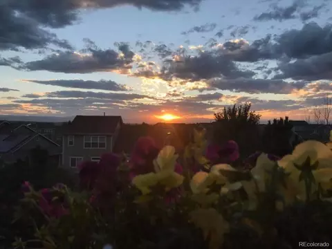 7357 S Millbrook St, Aurora, CO 80016 photo 19
