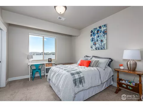 5590 Maidenhead Dr, Windsor, CO 80550 photo 23