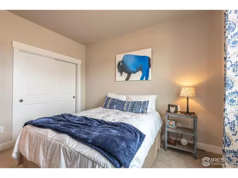 5590 Maidenhead Dr, Windsor, CO 80550 photo 21