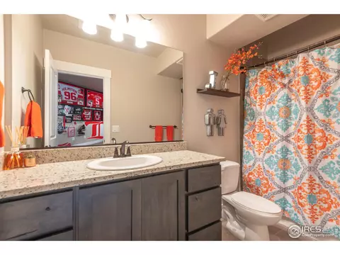 5590 Maidenhead Dr, Windsor, CO 80550 photo 29