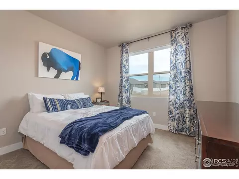 5590 Maidenhead Dr, Windsor, CO 80550 photo 20