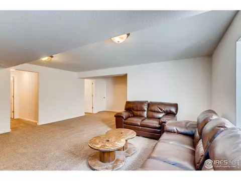 6399 Union Ave, Firestone, CO 80504 photo 30