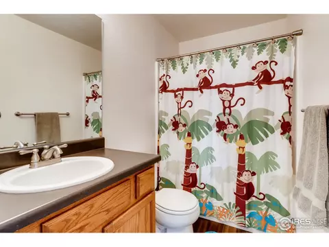 6399 Union Ave, Firestone, CO 80504 photo 27
