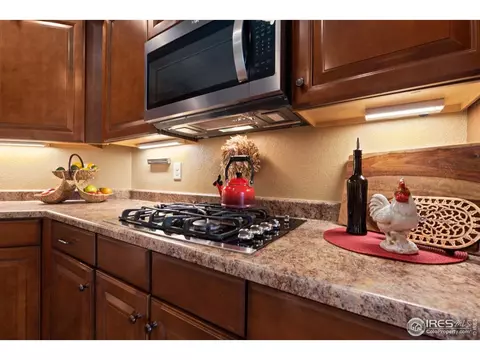 5905 Sand Cherry Ln, Timnath, CO 80547 photo 9