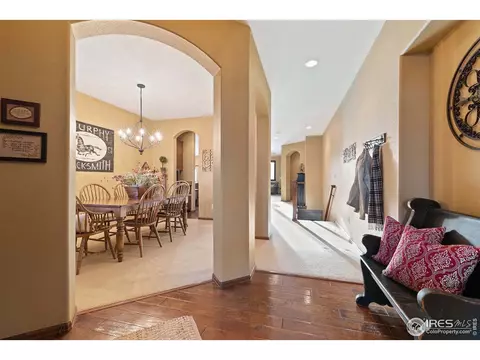 5905 Sand Cherry Ln, Timnath, CO 80547 photo 4