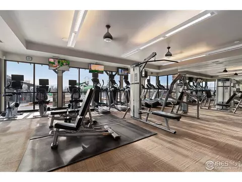 5905 Sand Cherry Ln, Timnath, CO 80547 photo 34