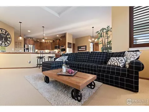 5905 Sand Cherry Ln, Timnath, CO 80547 photo 13