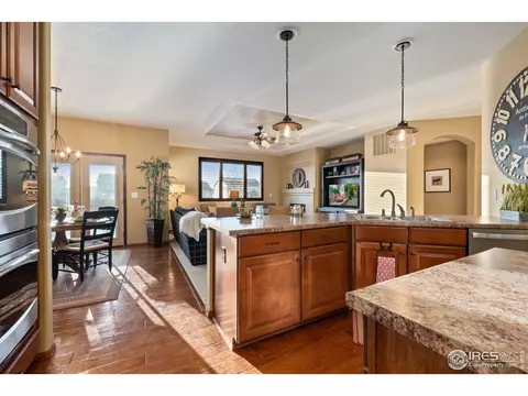 5905 Sand Cherry Ln, Timnath, CO 80547 photo 10