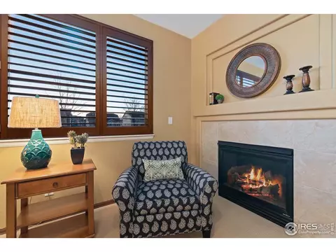 5905 Sand Cherry Ln, Timnath, CO 80547 photo 15