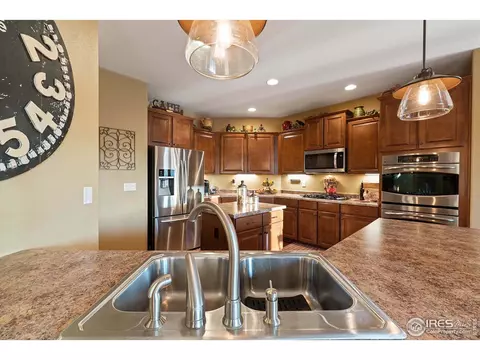 5905 Sand Cherry Ln, Timnath, CO 80547 photo 11