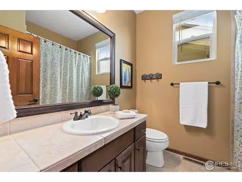 5905 Sand Cherry Ln, Timnath, CO 80547 photo 19