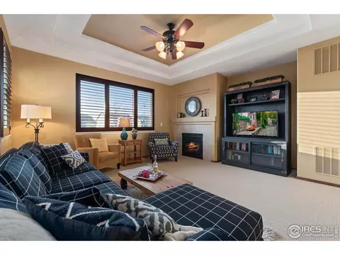 5905 Sand Cherry Ln, Timnath, CO 80547 photo 14
