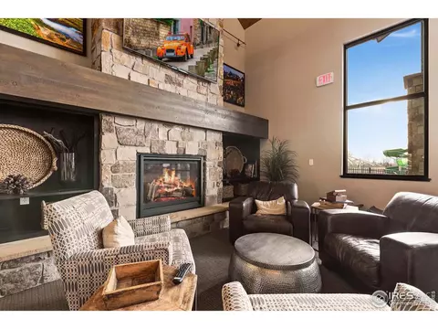 5905 Sand Cherry Ln, Timnath, CO 80547 photo 38