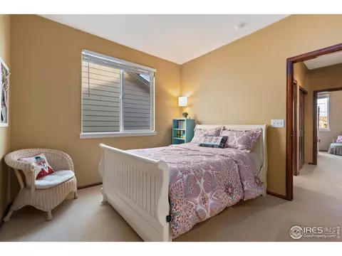 5905 Sand Cherry Ln, Timnath, CO 80547 photo 20