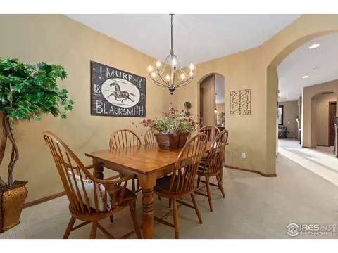 5905 Sand Cherry Ln, Timnath, CO 80547 photo 5