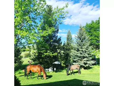 4301 Buckskin Trl, Laporte, CO 80535 photo 15