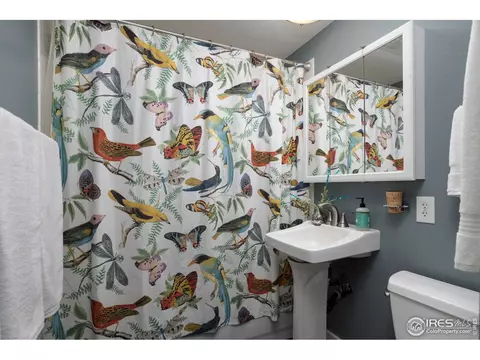 3405 Martin Dr, Boulder, CO 80305 photo 28